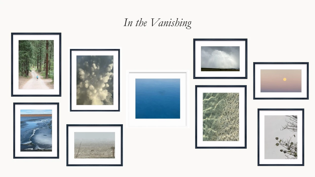 A gallery wall titled “In the Vanishing” — the collection's photographs shown together as framed prints