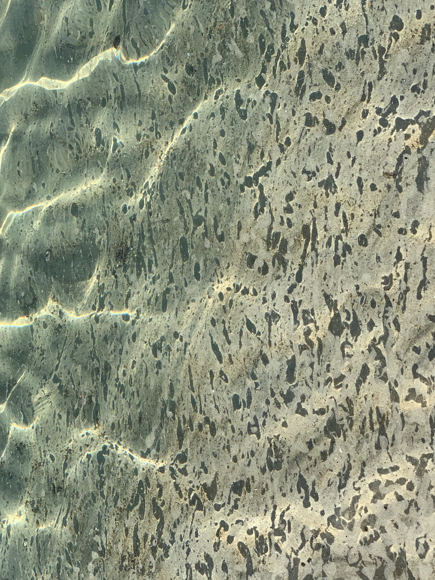 Sunlight rippling in a lacework of light across shallow water over patterned sand