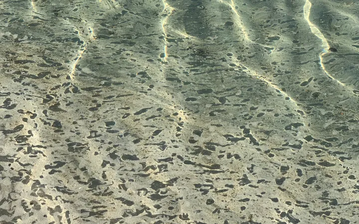 Sunlight rippling in a lacework of light across shallow water over patterned sand.