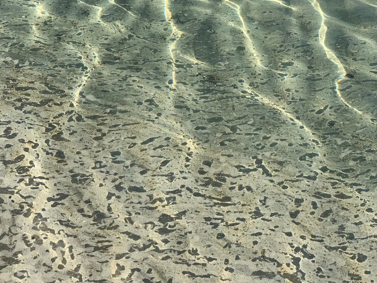 Sunlight rippling in a lacework of light across shallow water over patterned sand.