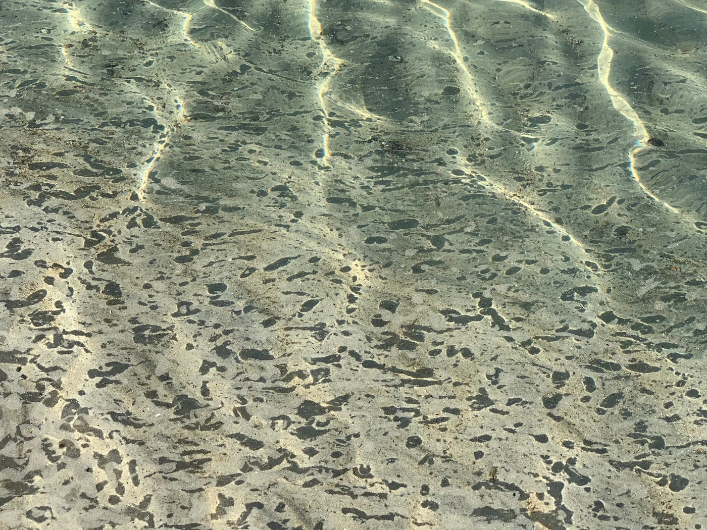 Sunlight rippling in a lacework of light across shallow water over patterned sand