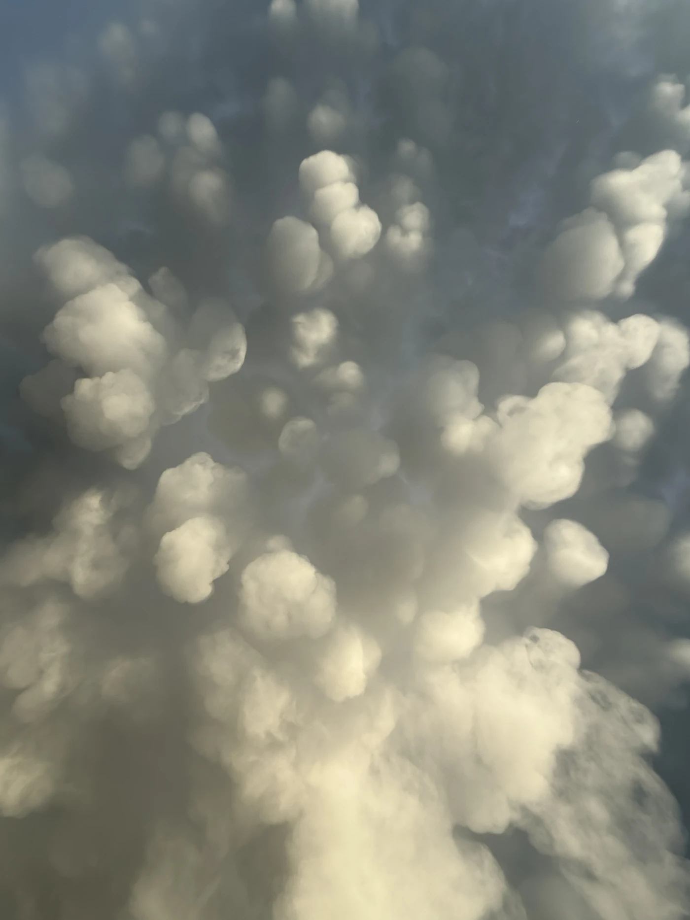 A dense cluster of soft, bulbous clouds massing against deep blue sky