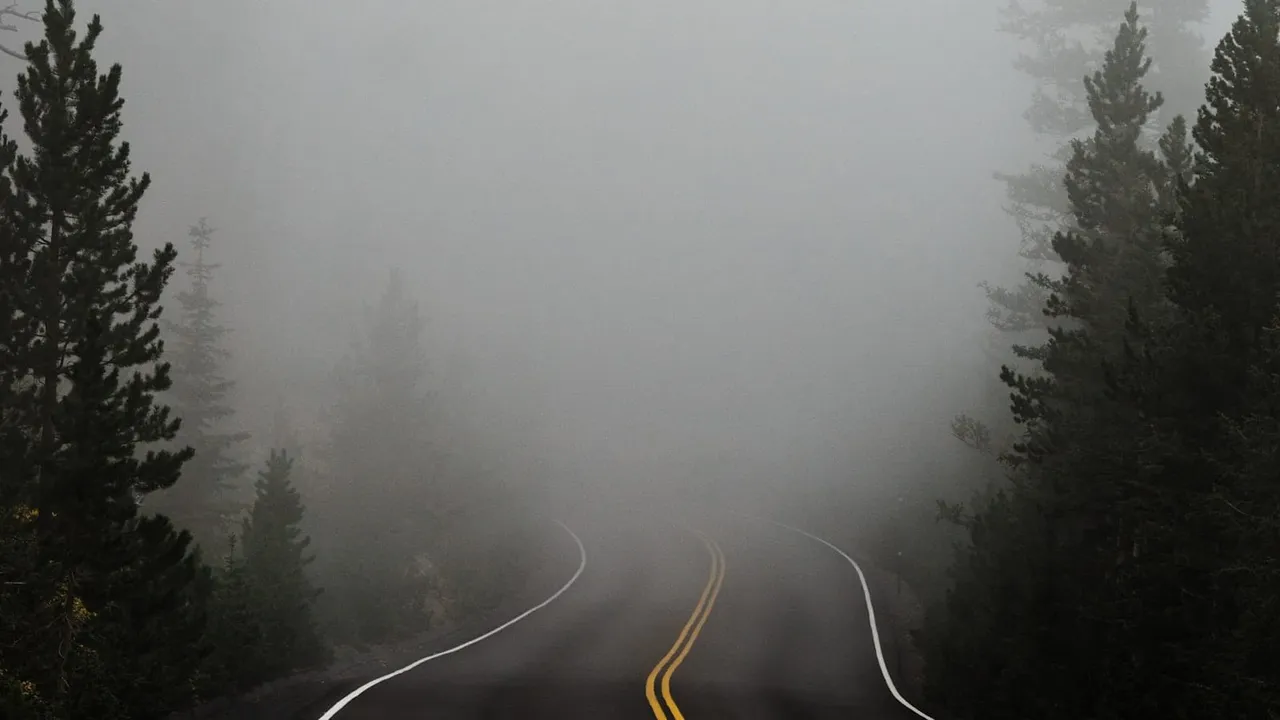 A two-lane road curving into thick fog between evergreen trees.