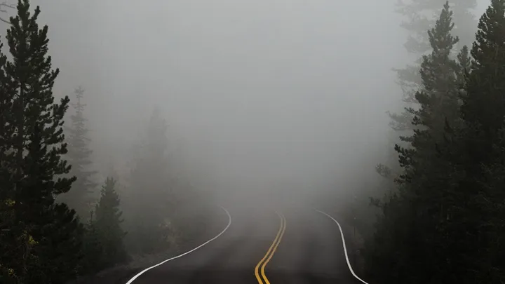 A two-lane road curving into thick fog between evergreen trees.